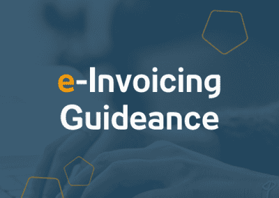 E-Invoicing Guideance | 21.05.2024